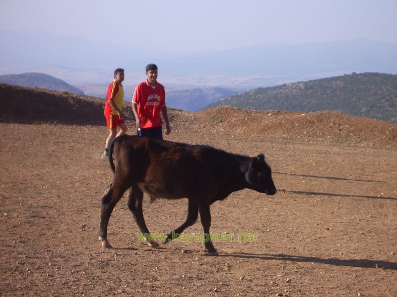 Tam boy görünüm için tıklayın