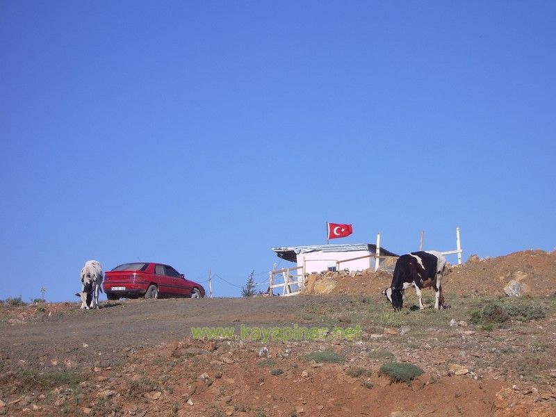 Tam boy görünüm için tıklayın